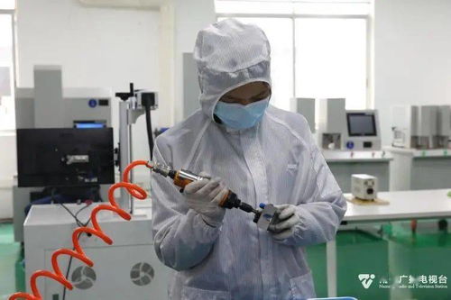 科技種子在南寧開花結(jié)果，網(wǎng)絡(luò)技術(shù)創(chuàng)新激發(fā)經(jīng)濟(jì)新活力